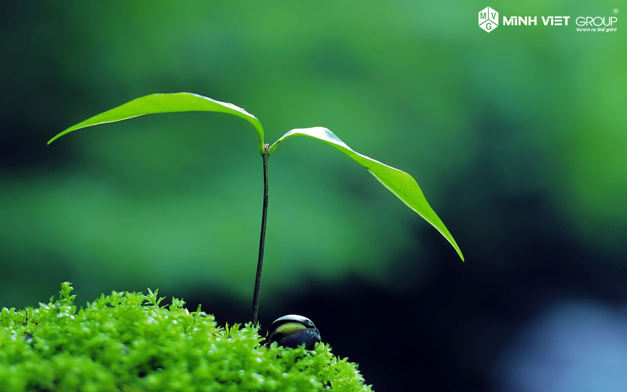 Không dám dấn thân, đối mặt với thử thách thì cũng không thể có những cơ hội